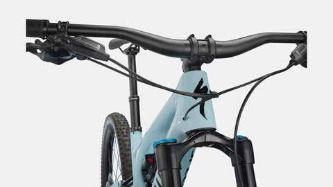 Stumpjumper EVO Comp  - SRAM GX Eagle, FOX Rhythm