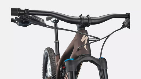 Stumpjumper EVO Comp  - SRAM GX Eagle, FOX Rhythm