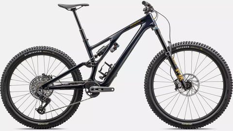 Stumpjumper EVO Expert  - SRAM GX AXS, FOX Performance Elite