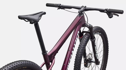 Epic World Cup Expert  - SRAM GX AXS, RockShox Select+