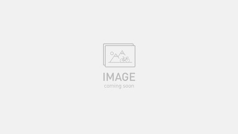 Globe Driveside Crankarm