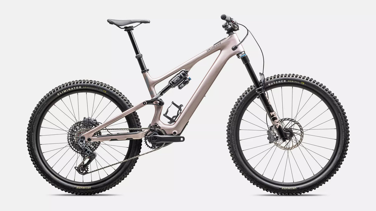 Turbo Levo SL 2 Expert
