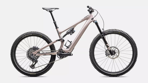 Turbo Levo SL 2 Expert