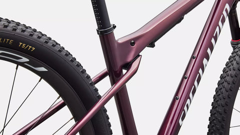Epic World Cup Expert  - SRAM GX AXS, RockShox Select+