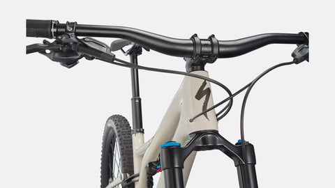 Stumpjumper Expert  - SRAM GX Eagle, Fox Perormance Elite