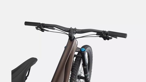 Stumpjumper EVO Comp  - SRAM GX Eagle, FOX Rhythm