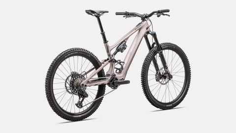 Turbo Levo SL 2 Expert