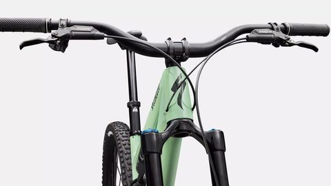 Stumpjumper 15 EVO Expert  - SRAM GX AXS, FOX Performance Elite