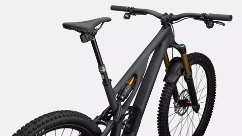 S-Works Stumpjumper EVO T-Type