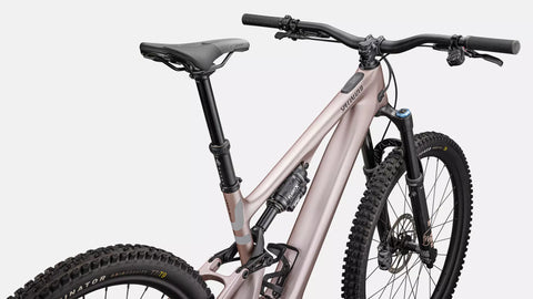 Turbo Levo SL 2 Expert