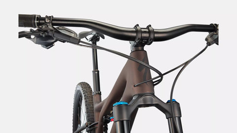 Stumpjumper Expert  - SRAM GX Eagle, Fox Perormance Elite