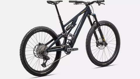 Stumpjumper EVO Expert  - SRAM GX AXS, FOX Performance Elite