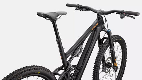 Turbo Levo SL 2 Expert
