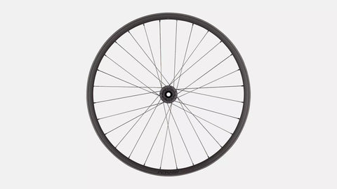 Roval Traverse HD 350 6B