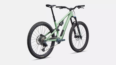 Stumpjumper 15 EVO Expert  - SRAM GX AXS, FOX Performance Elite