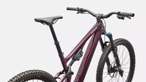 Turbo Levo SL 2 Expert Di2