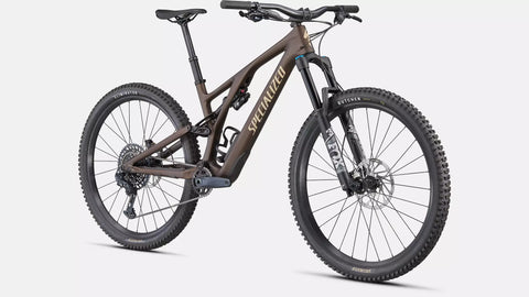 Stumpjumper EVO Comp  - SRAM GX Eagle, FOX Rhythm