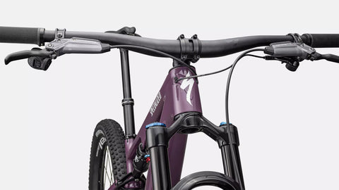 Epic 8 EVO Expert  - SRAM GX AXS, FOX Performance Elite