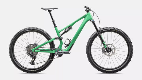 Stumpjumper 15 Expert  - SRAM GX AXS, FOX Performance Elite