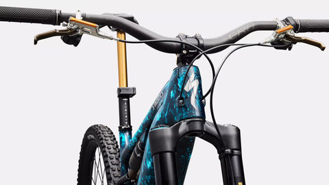 S-Works Turbo Levo 4 LTD