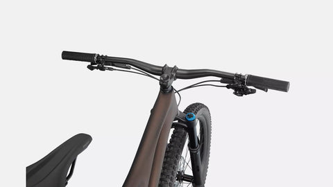 Stumpjumper Expert  - SRAM GX Eagle, Fox Perormance Elite