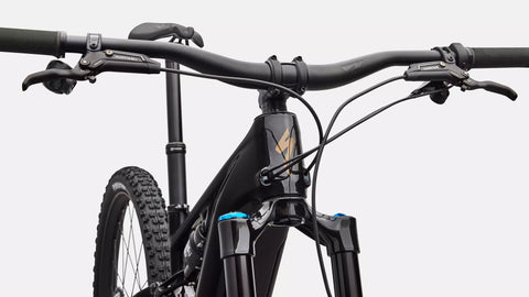 Turbo Levo R Expert